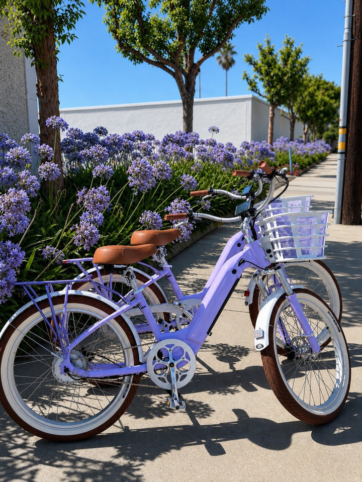 Coastal Lilac Riviera Model