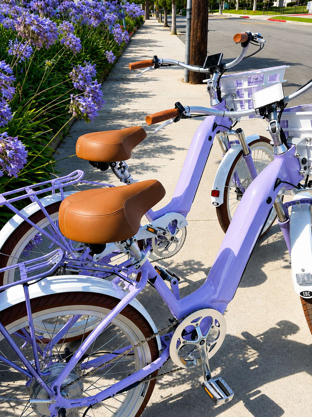 Coastal Lilac Riviera