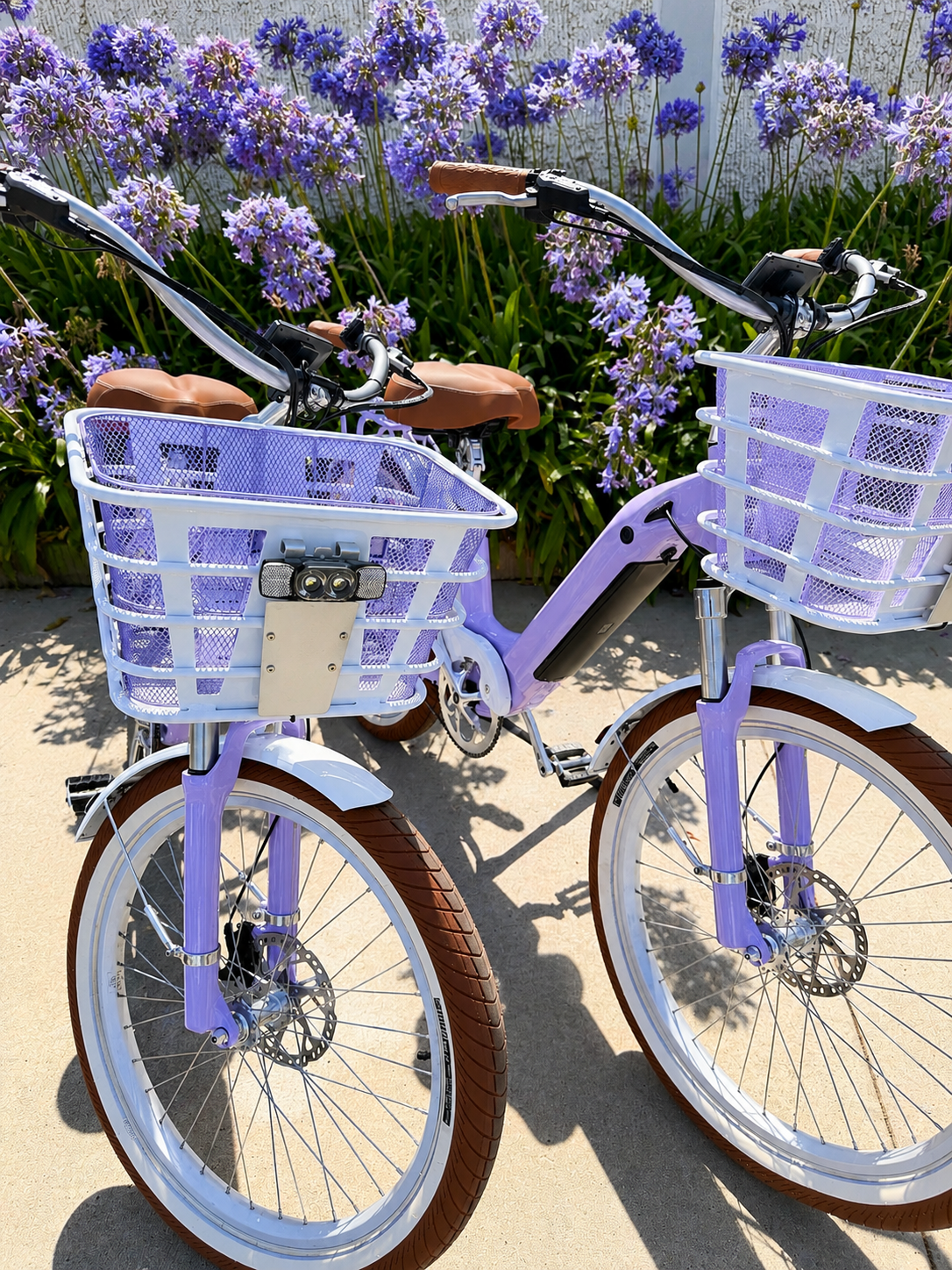 Coastal Lilac Riviera