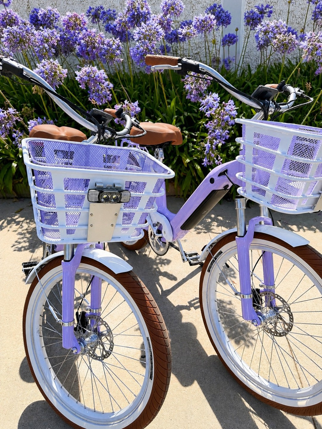 Coastal Lilac Riviera Model