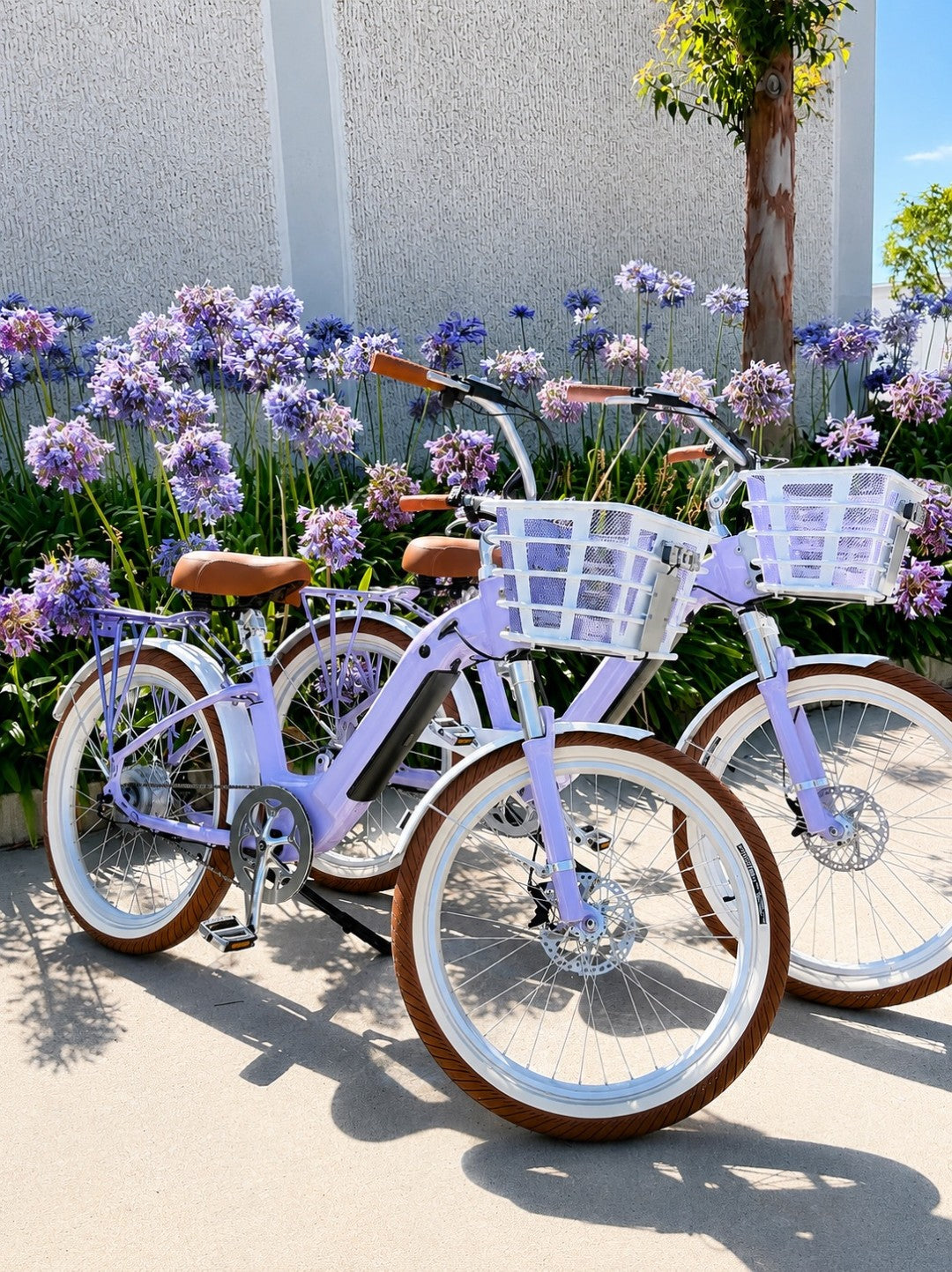 Coastal Lilac Riviera Model